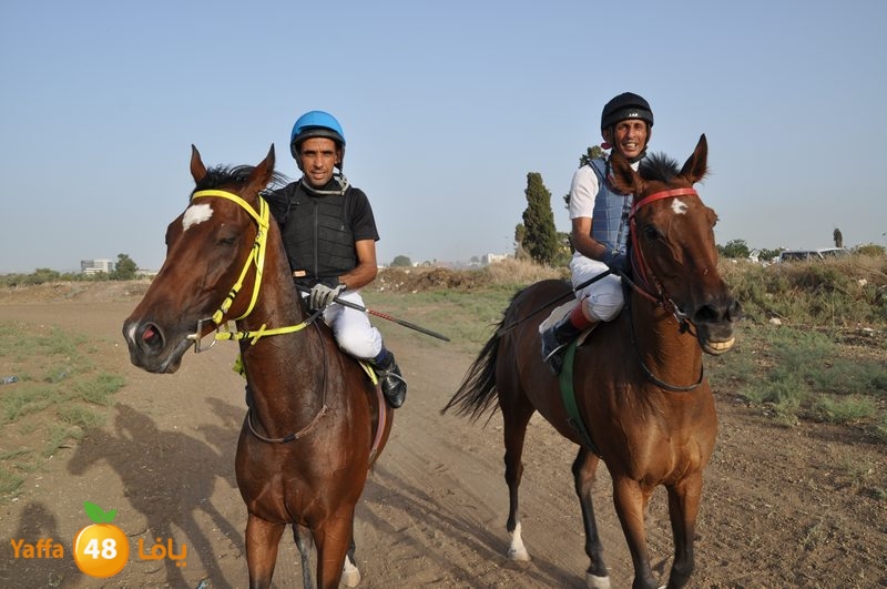 kheil sebaq (20).JPG